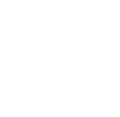 Cadira Capital Management (CCM).png