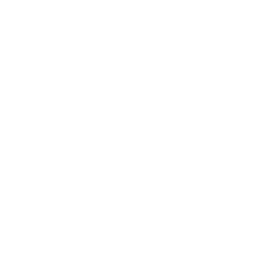 Grameen Shakthi.png