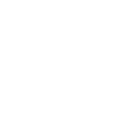 HANS Foundation.png
