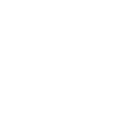 IIT School