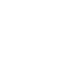 IITMLogoWhite