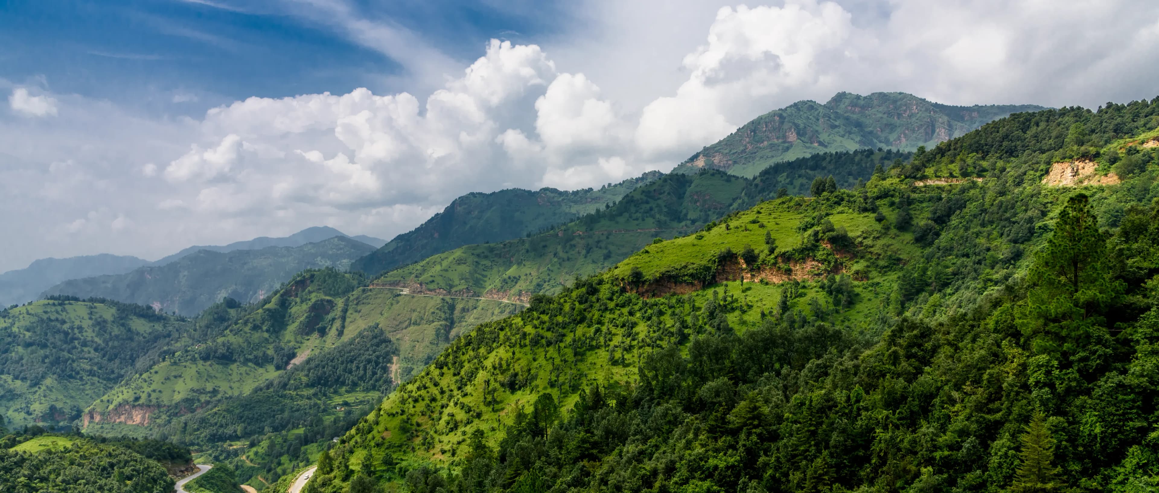 01_Indian carbon.webp