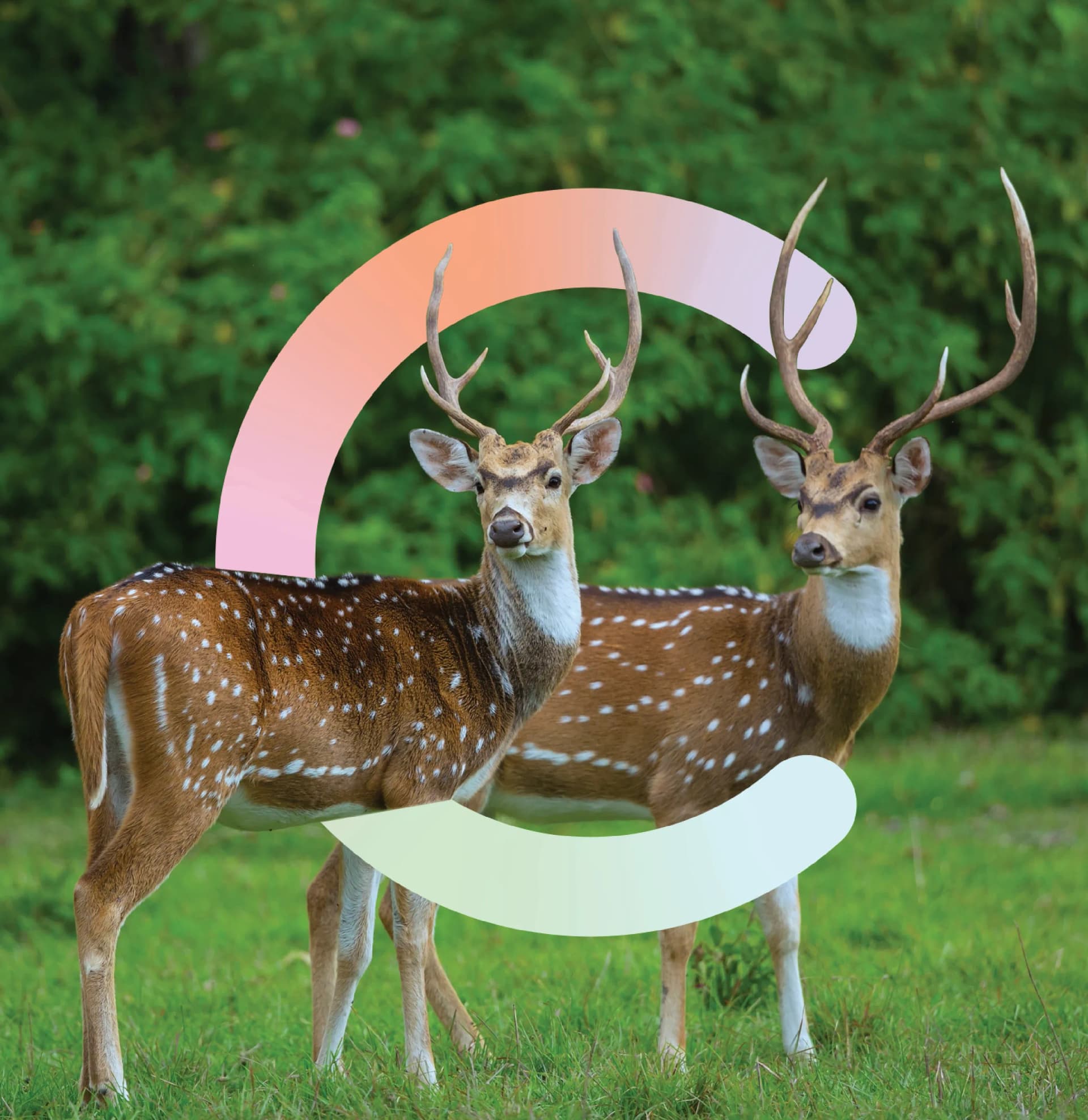 01_Project of Geo.webp