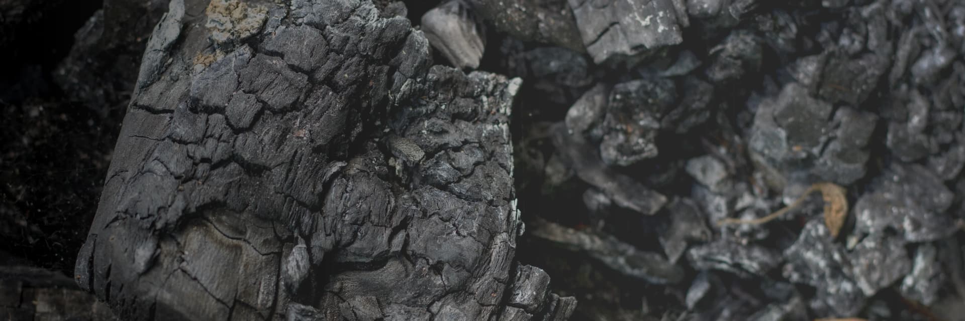 01_biochar wtobi banner.webp
