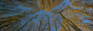 01_credit potential.webp