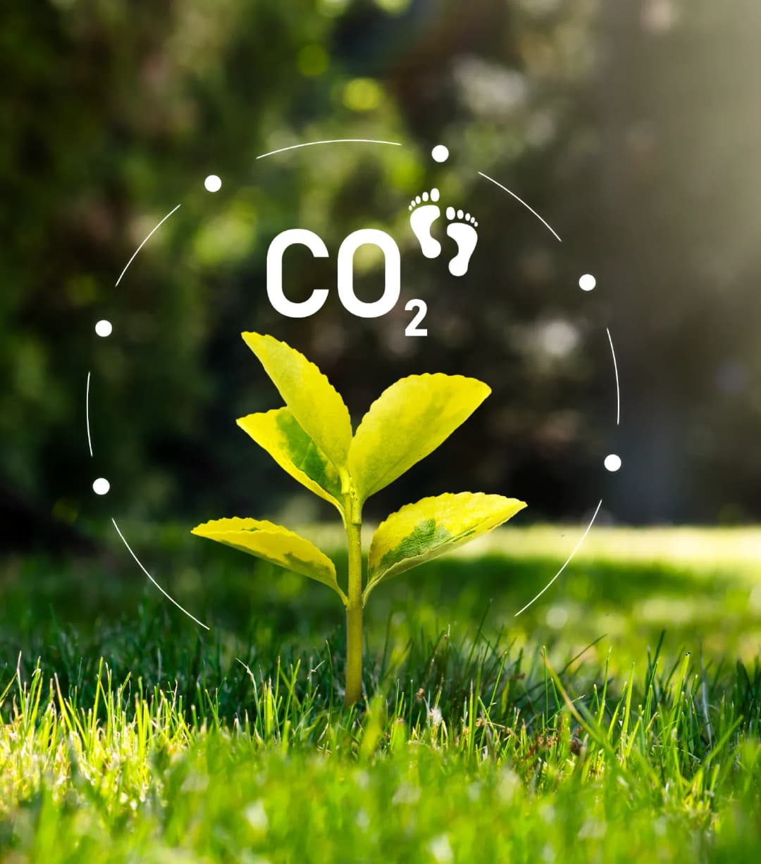 01_esg image_03 copy.webp