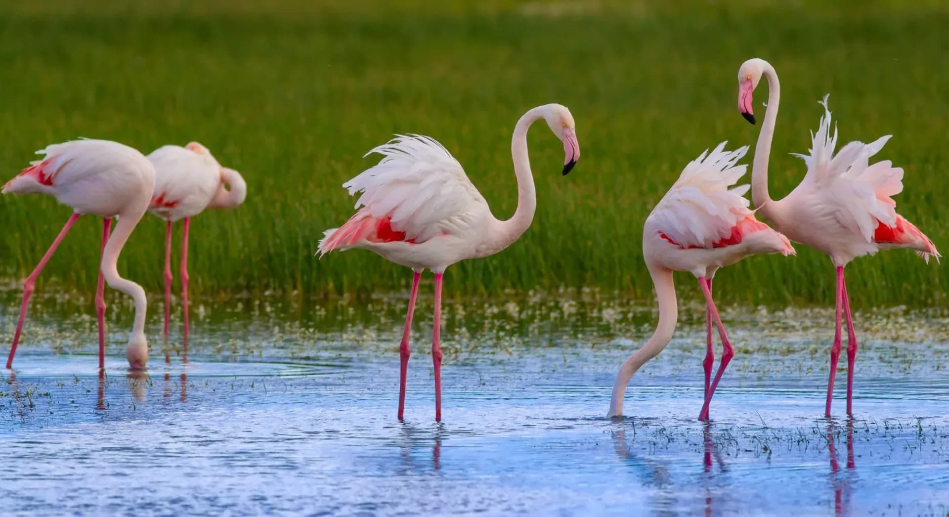 01_technology based (4).webp