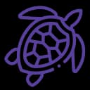 All icons-16.webp