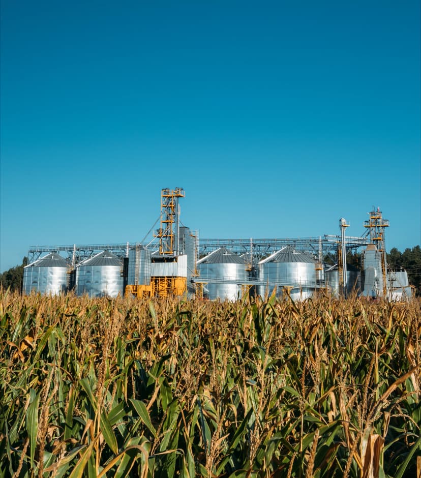 Biogas generation image_01.webp