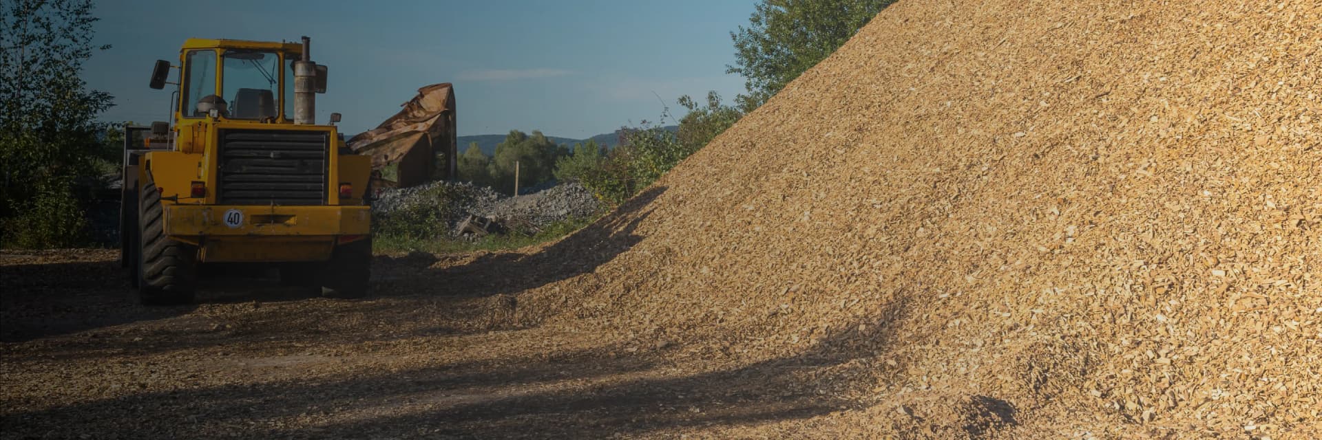 Biomass banner.webp