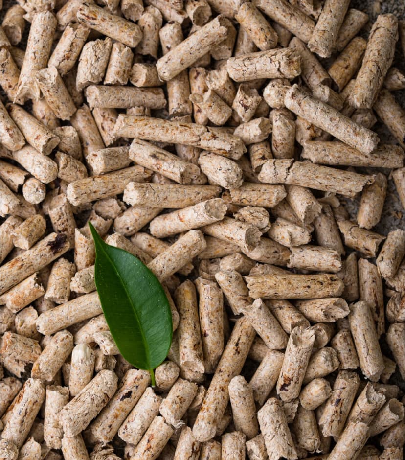 Biomass image_03.webp