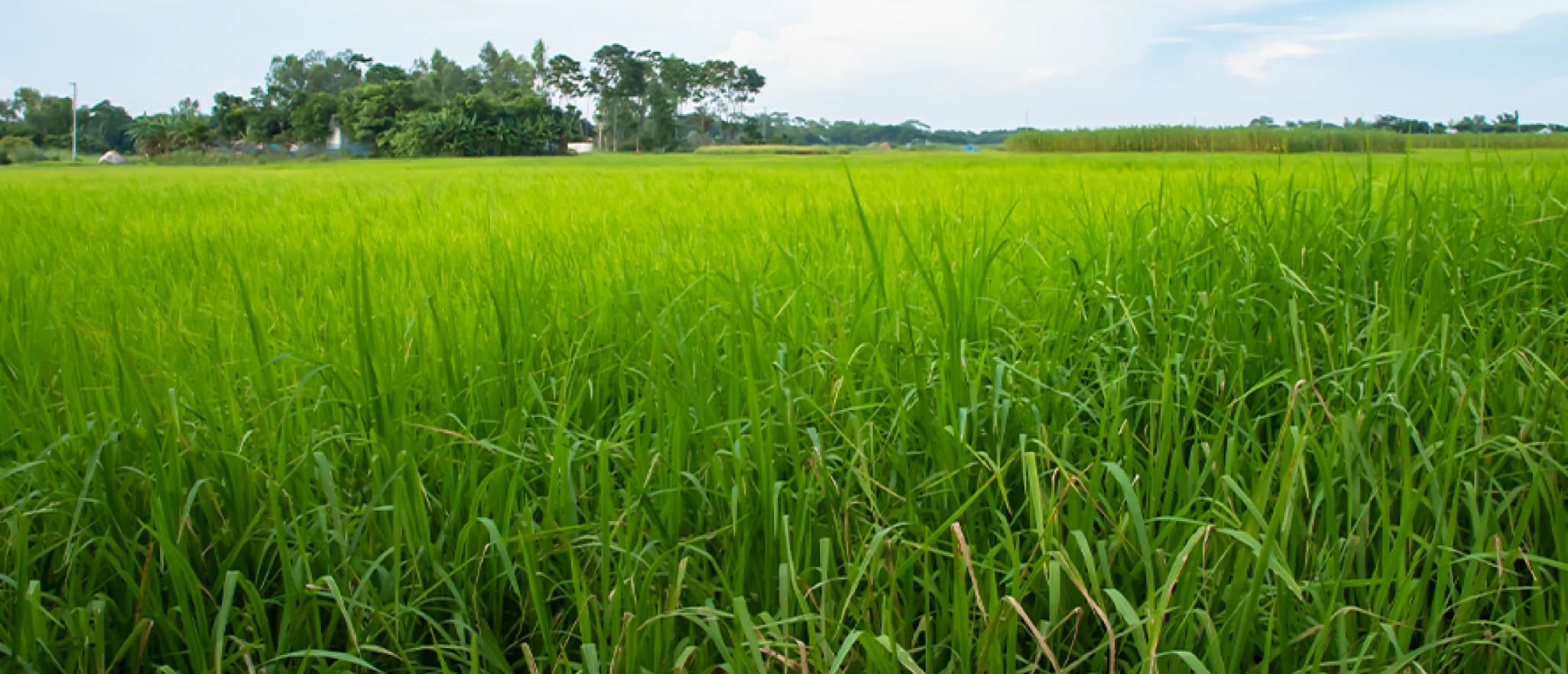 Climate Investments.webp