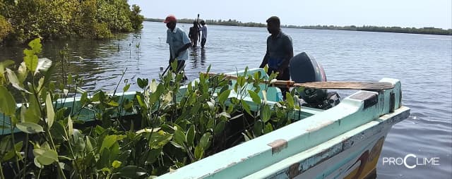 ECM Project impact-04.webp