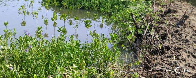 ECM Project impact-06.webp