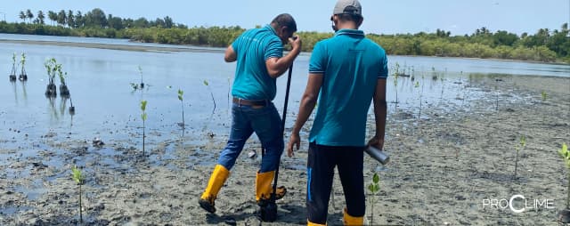 ECM Project impact-07.webp