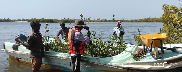 ECM Project impact-08.webp