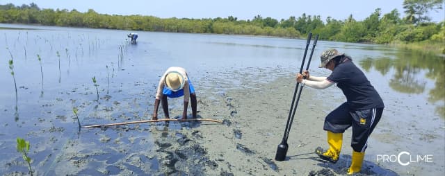 ECM Project impact-09.webp