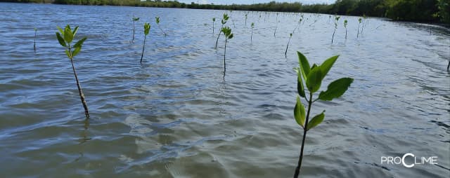 ECM Project impact-8.webp