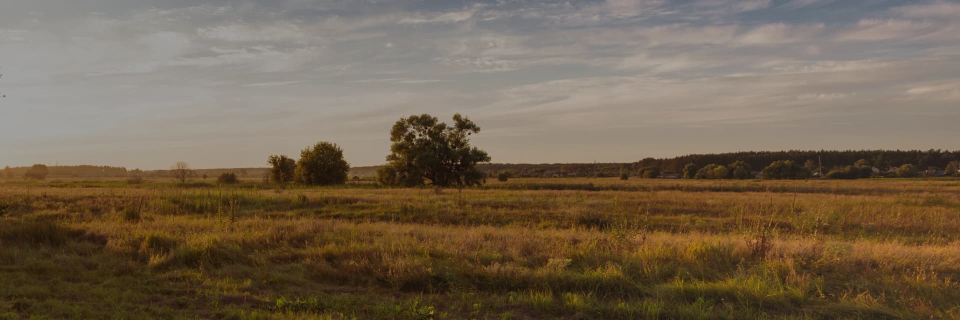 Grassland hero banner.webp