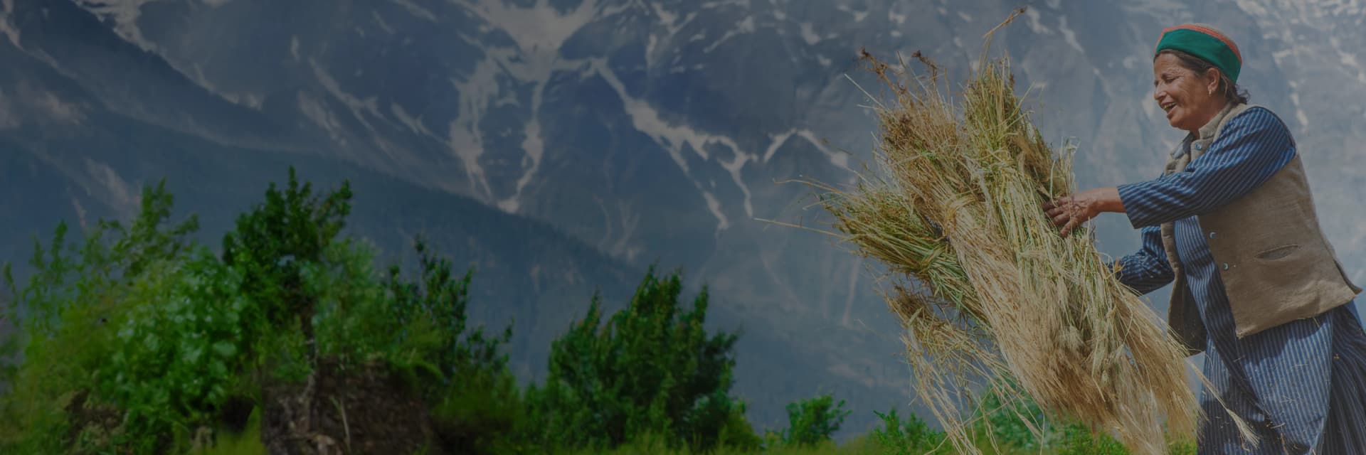 HIM Agri banner.webp