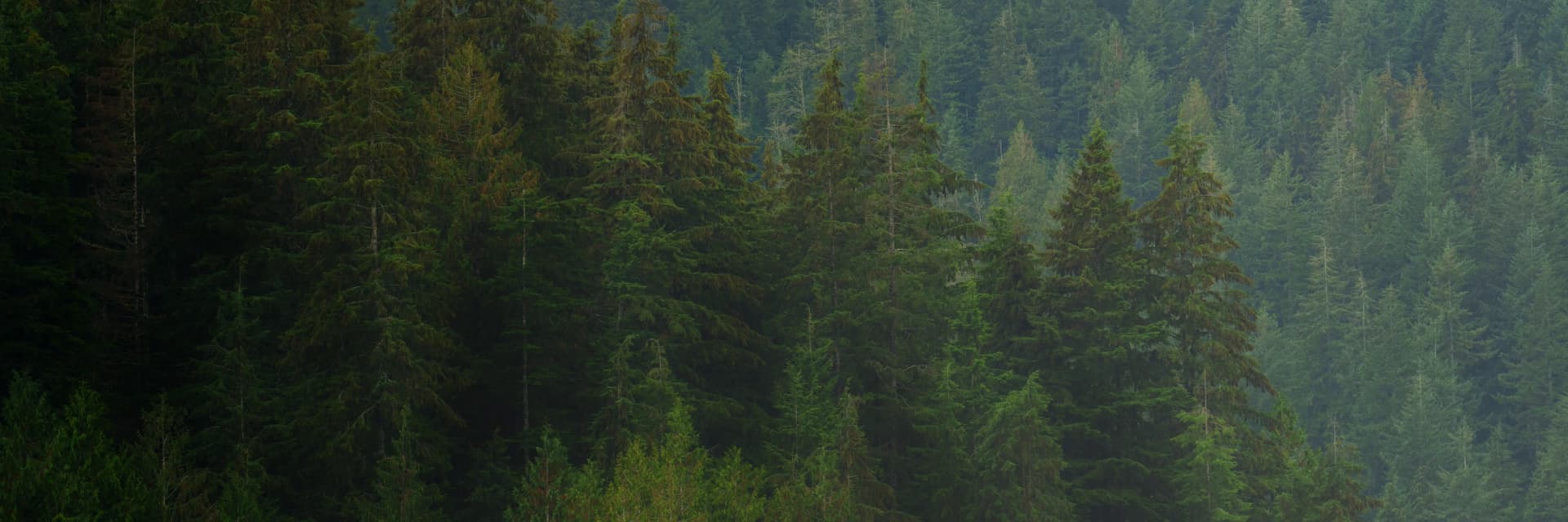 HIM Biochar banner.webp