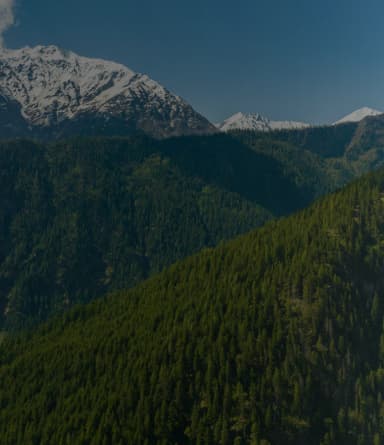 HIM Biochar_banner.webp