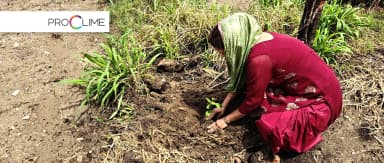 HP Agri_01.webp