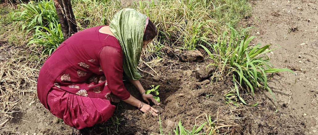 Him agri_01.webp