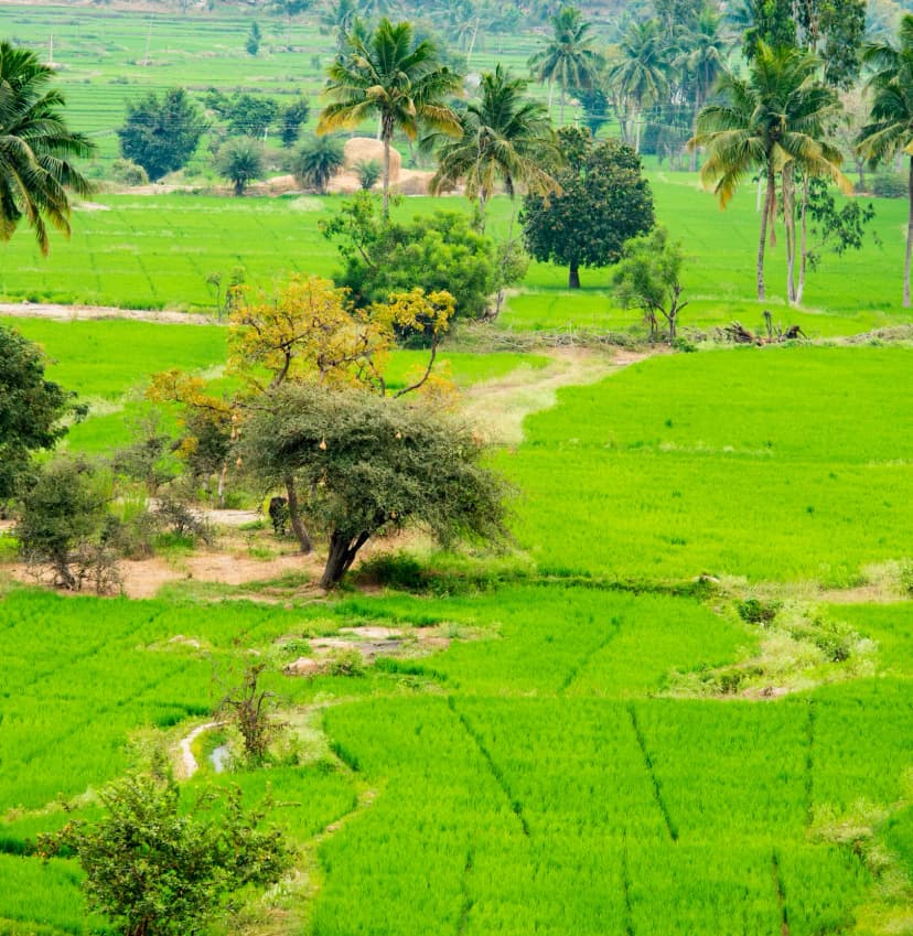 Karnataka SALM Overview.webp