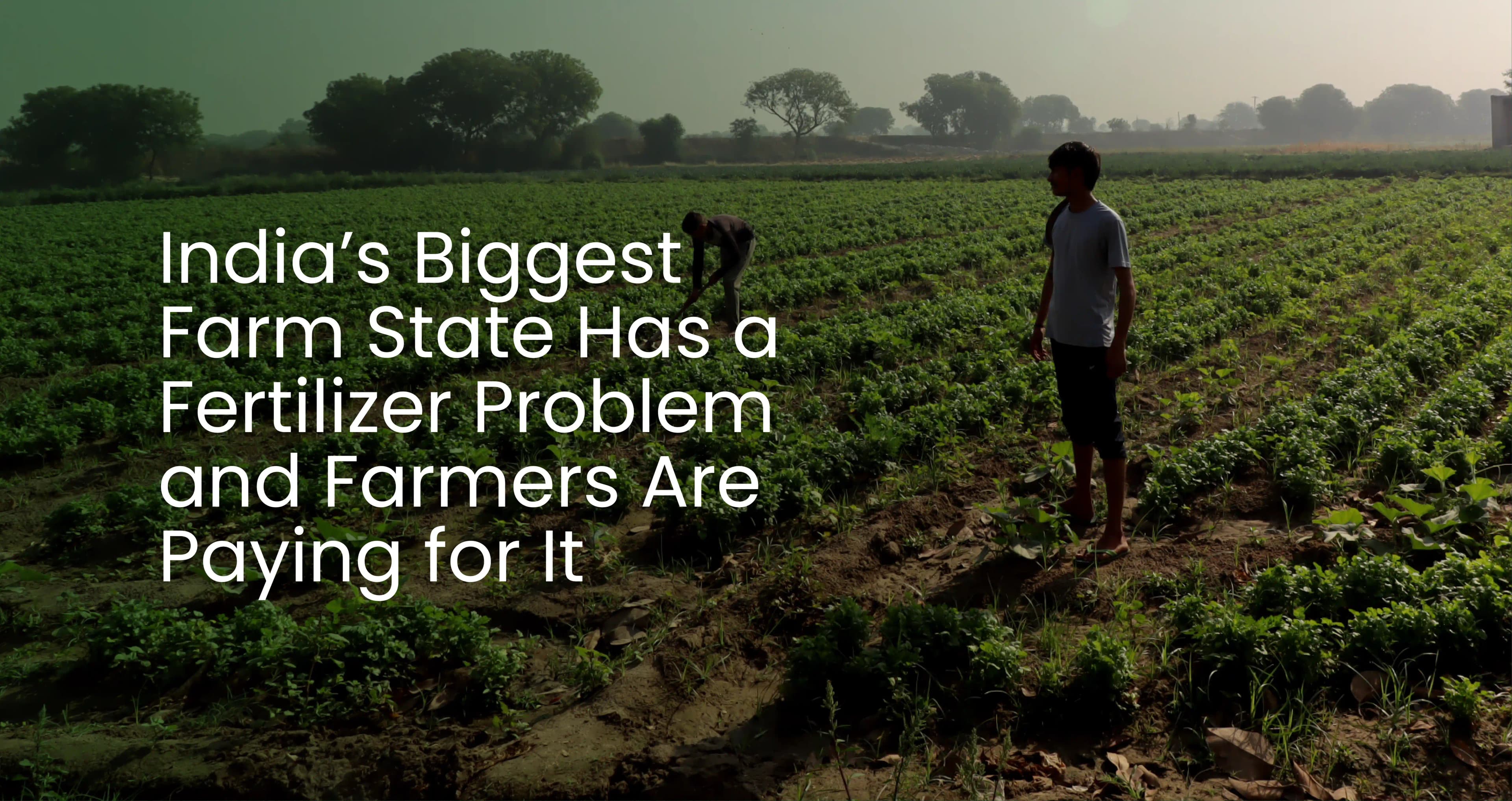 UP Agri.webp
