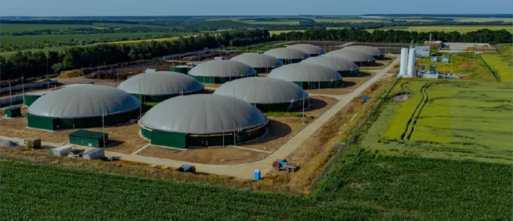 01_Biogas and Biomass to Biofuel_Image_.webp