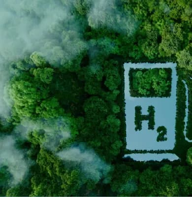 01_Green Hydrogen and Derivatives_image 03-38.webp