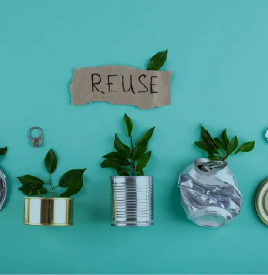 01_Green Hydrogen and Derivatives_image 03-49.webp