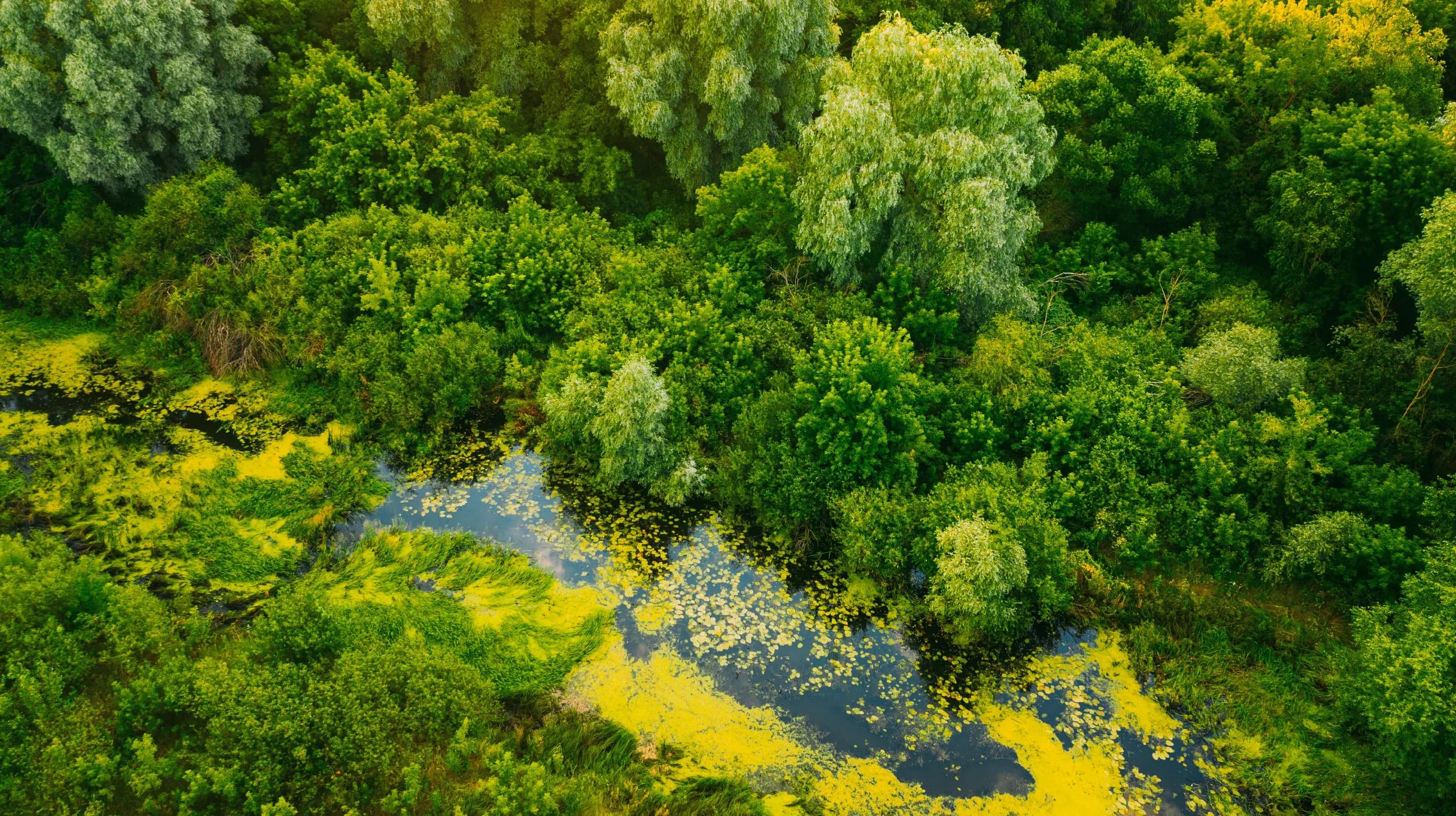 01_News&Media Image_03webp