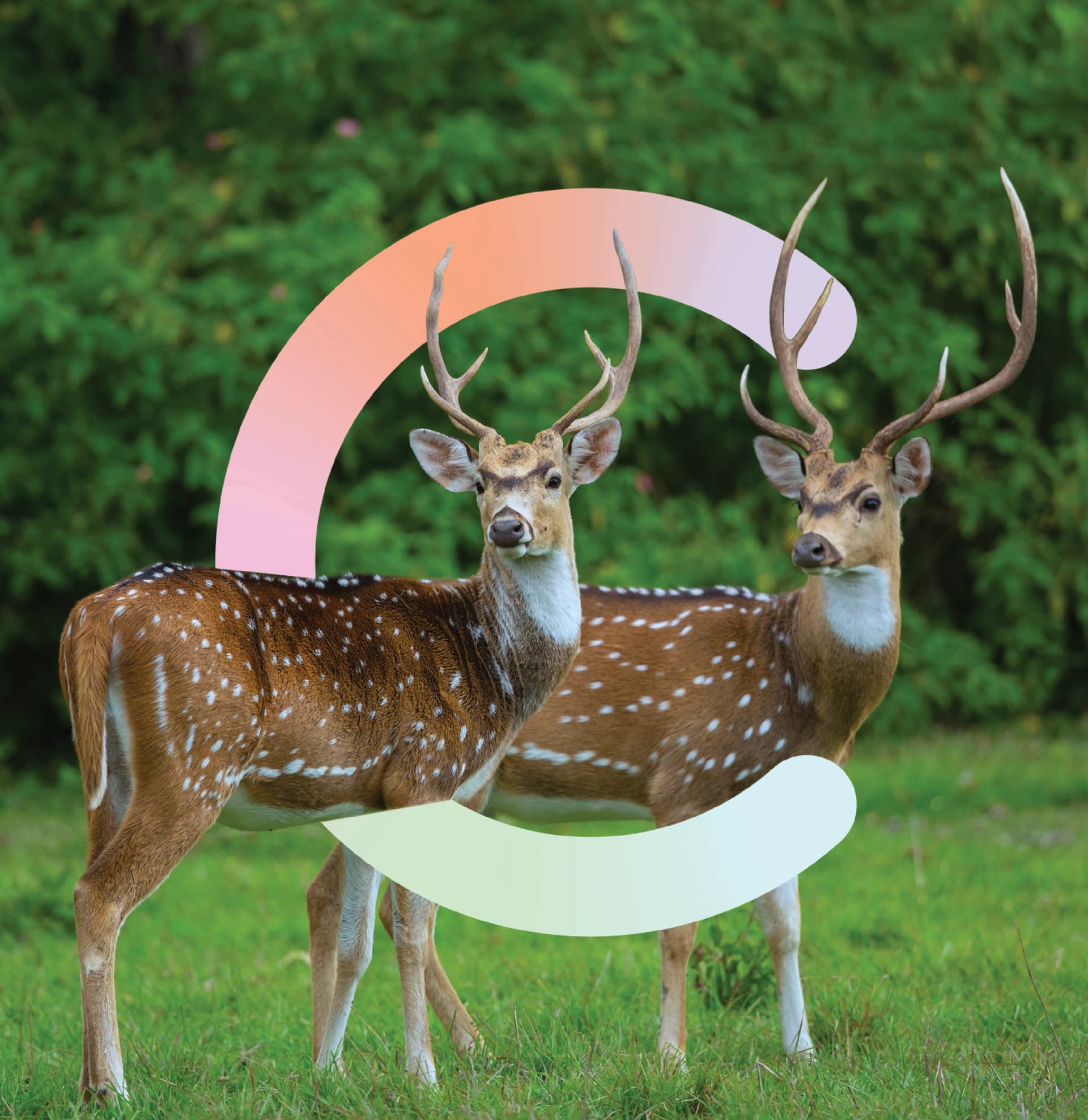 01_Project of Geo.webp