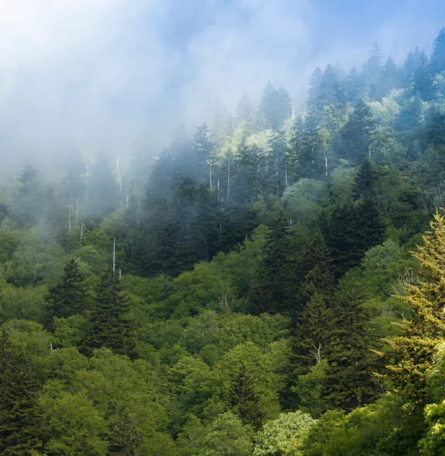 01_Renewables & CPM_Image_02.webp