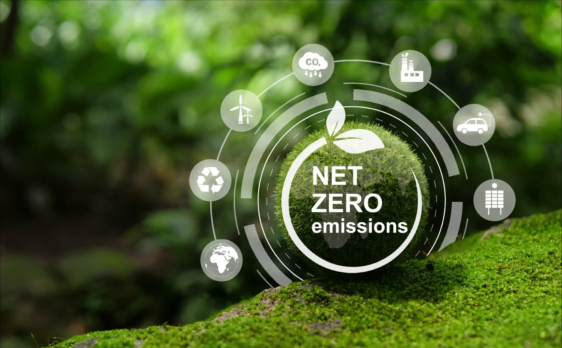 01_Renewables & CPM_Image_04.webp