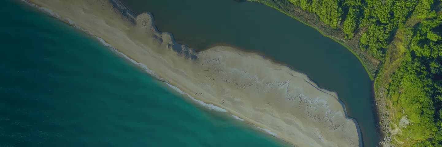 01_Tidal, Estuarine & Brackish Water Ecosystems Hero banner_02.webp