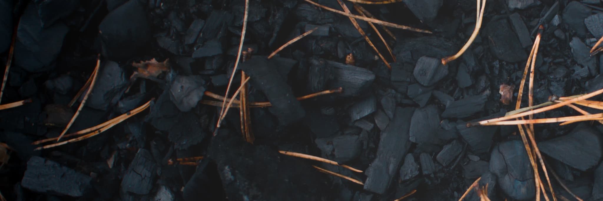 01_biochar wtobi banner _01 copy.webp