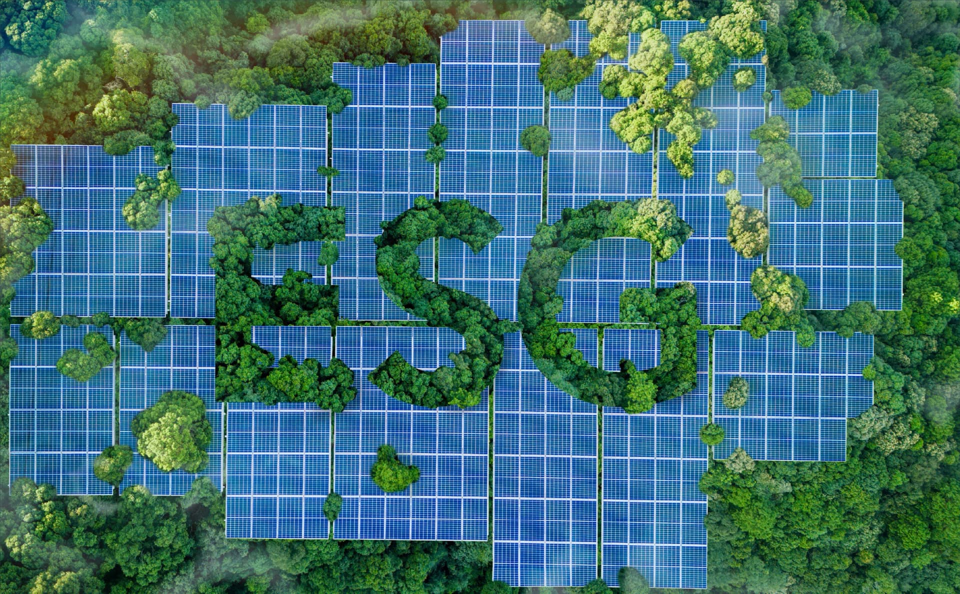 01_esg image_04.webp