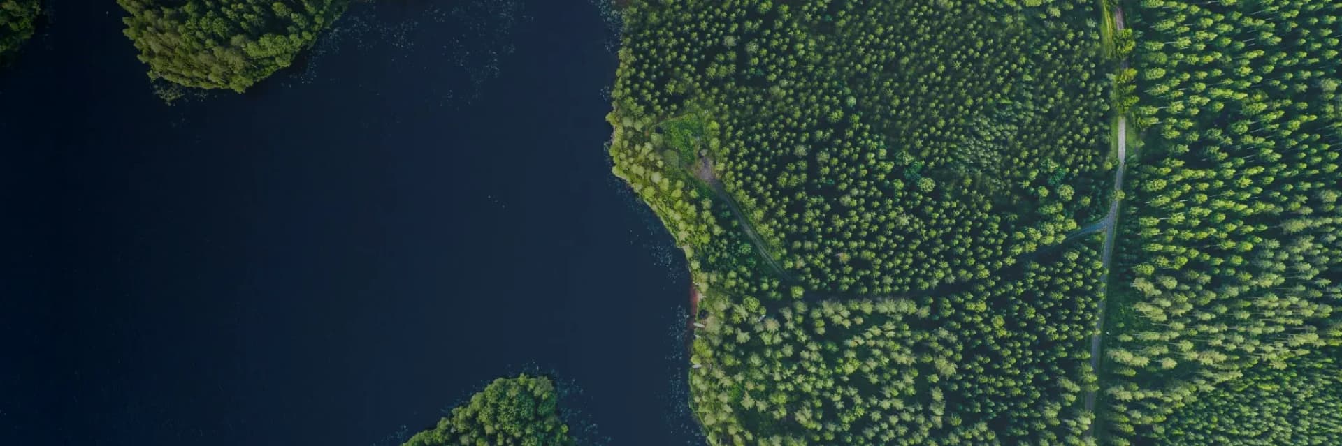 01_improved forest management hero banner.webp