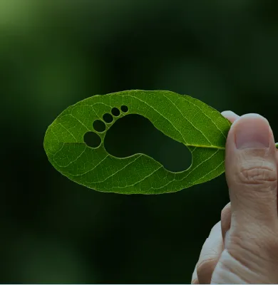01_sustainable aviation fuel _image02.webp
