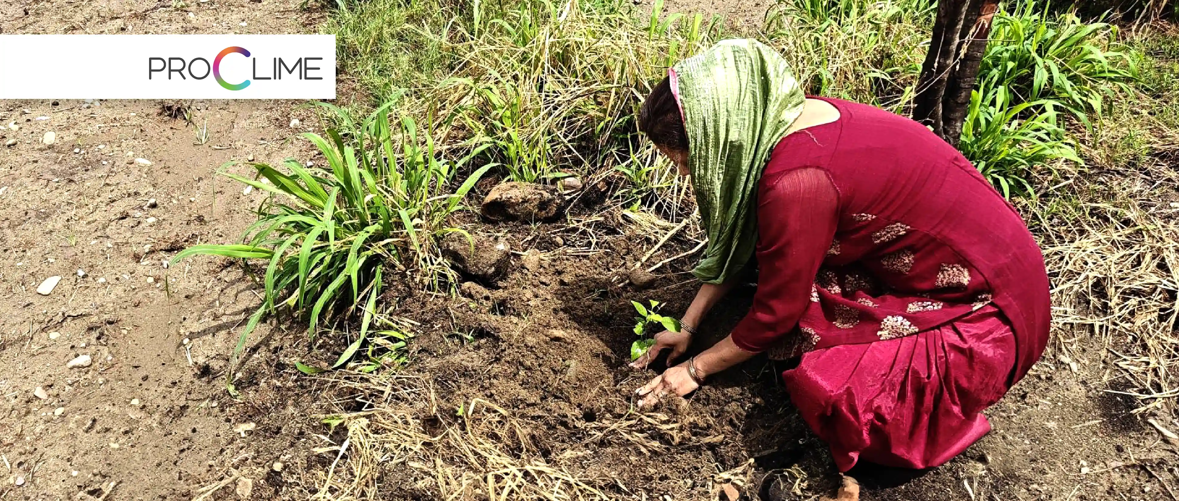 HP Agri_01.webp