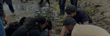 Key announcements_Sri lanka mangrove_01.webp